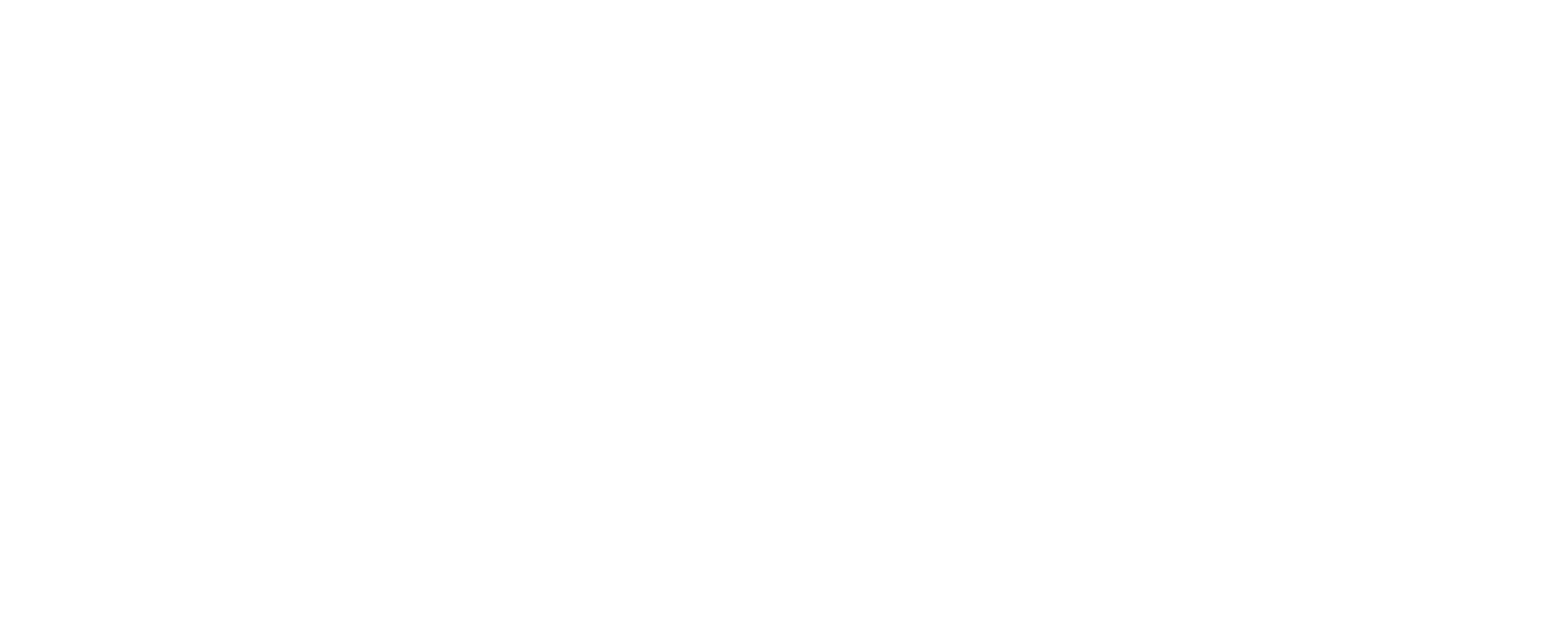 little wolves early learning center white logo